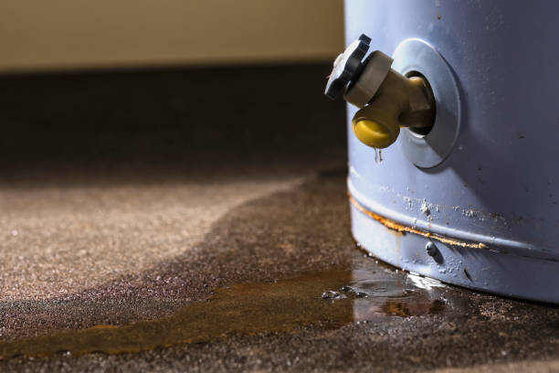Best Local water damage restoration  in Vincent, CA