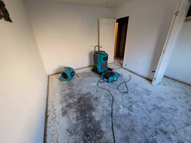 Best Water damage contractors near me  in Vincent, CA