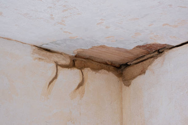 Best Flood damage cleanup  in Vincent, CA