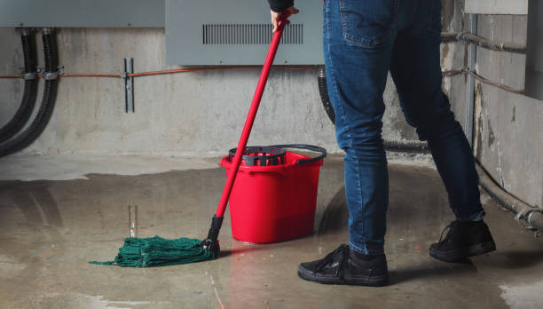 Best 24-hour water damage restoration  in Vincent, CA