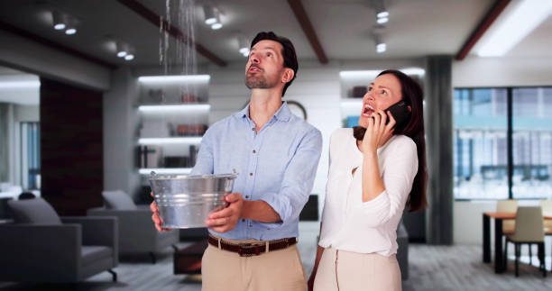 Best Water damage restoration company  in Vincent, CA