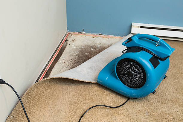 Best Residential water damage restoration  in Vincent, CA